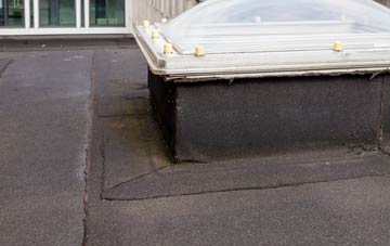 disadvantages of West Thorney flat roofs